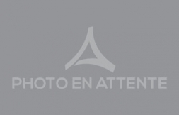 Bordure Palatium