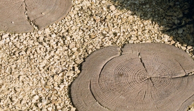 Pas japonais Sherwood